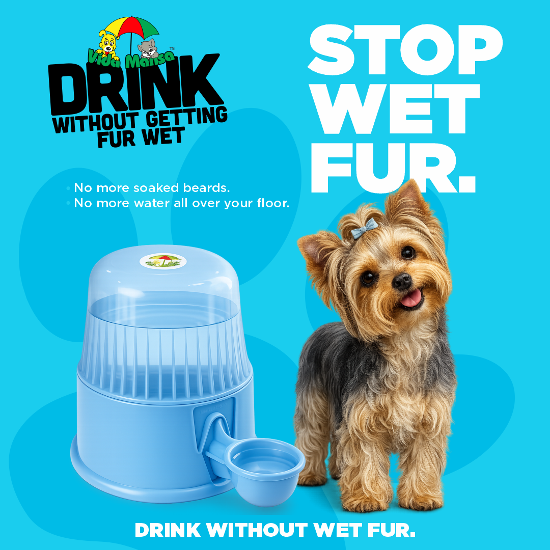 Blue Vida Mansa water dispenser beside a Yorkshire terrier, with the message stop wet fur and no more soaked beards or wet floors.