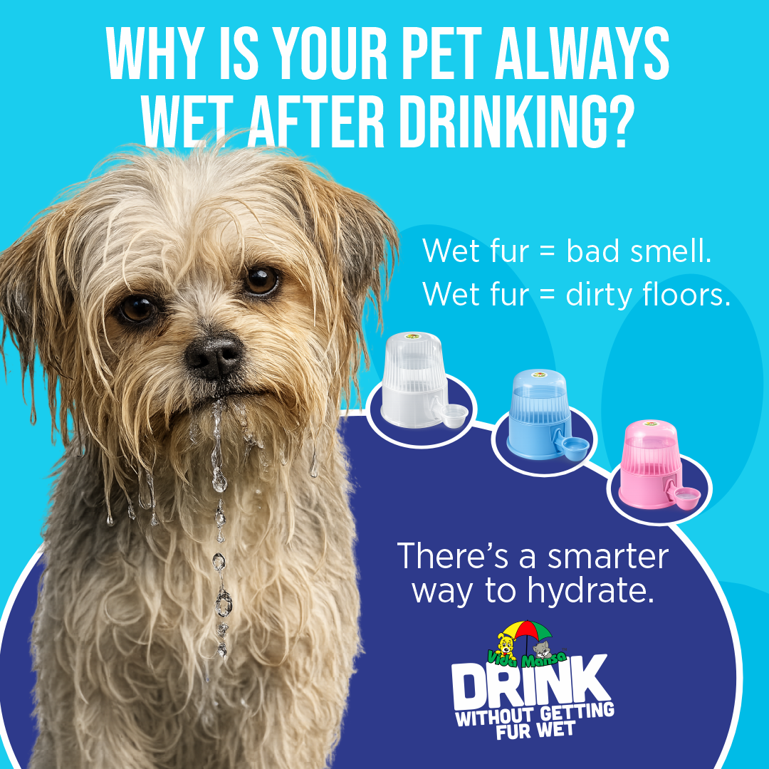 Wet long-haired dog beside Vida Mansa dispensers, explaining that wet fur can cause odor and dirty floors.