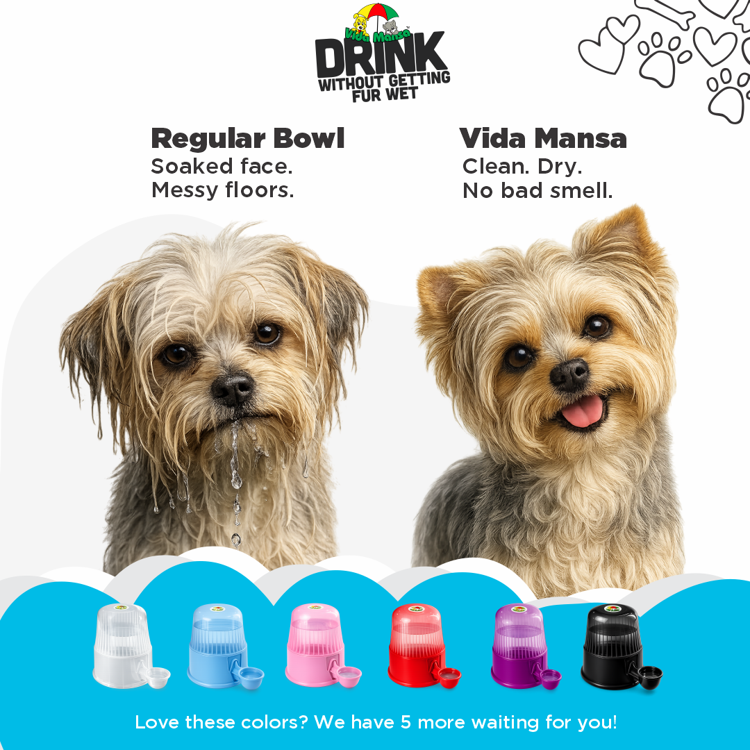 Before-and-after comparison of a wet dog using a regular bowl and a clean, dry dog using a Vida Mansa dispenser.