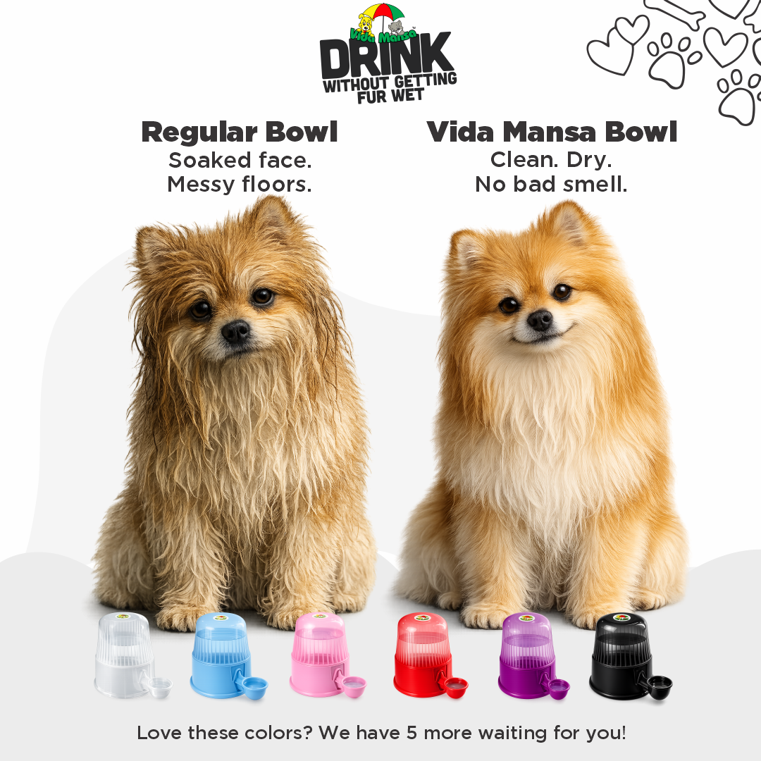 Before-and-after comparison of a wet Pomeranian with a regular bowl and a clean, dry Pomeranian with a Vida Mansa dispenser.