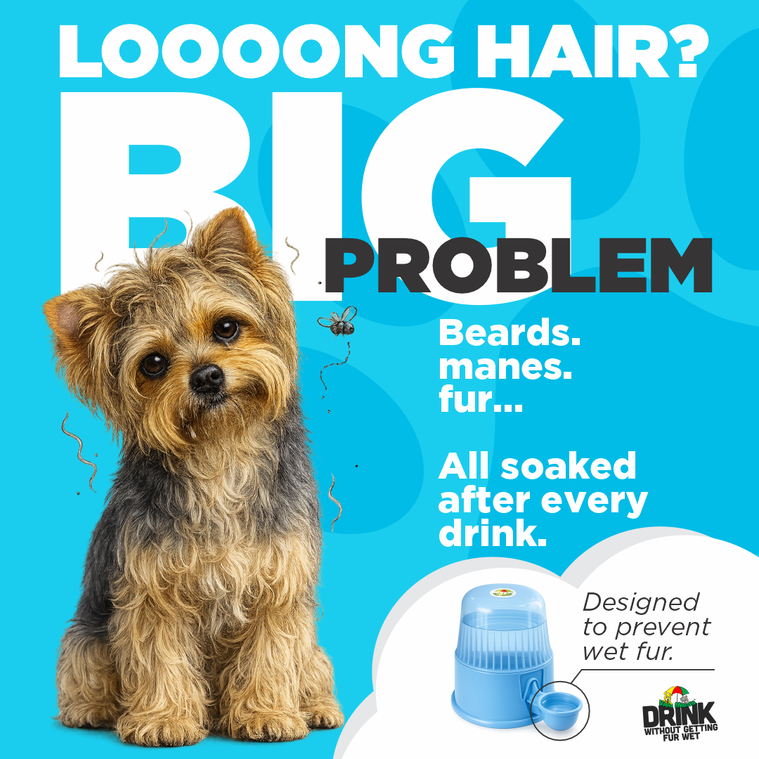 Yorkshire terrier with wet fur beside a blue Vida Mansa dispenser designed to help keep beards, manes, and fur dry.