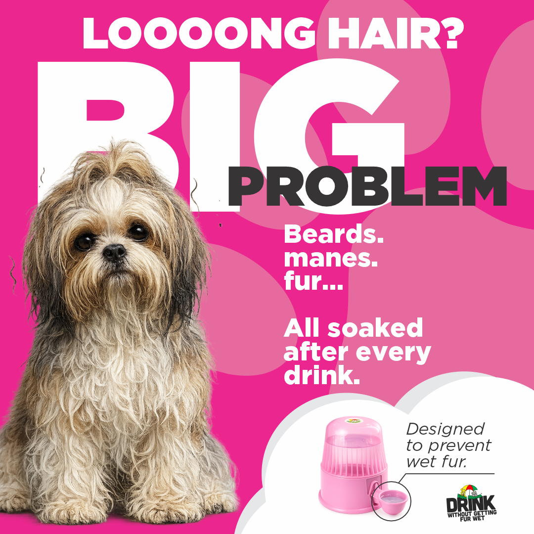 Long-haired dog with wet fur beside a pink Vida Mansa dispenser designed to help keep fur dry.